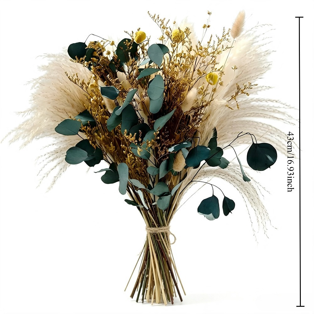 자연 건조 팜파스 그래스 부케, 보존된 유칼립투스 잎, - Pampas Grass Decor 리뷰 및 가격