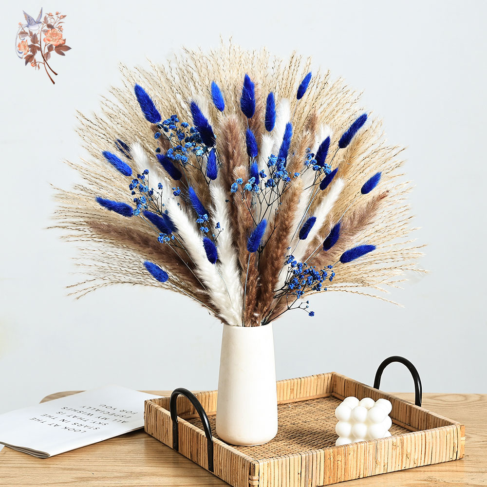 70 줄기 블루 푹신한 토끼 꼬리 팜파스 잔디 묶음 말 - Pampas Grass Decor 리뷰 및 가격