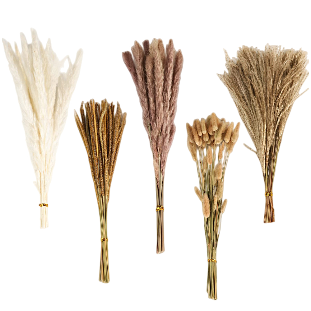 가을 빈티지 믹스 드라이플라워 부케, 팜파스그래스, 버 - Pampas Grass Decor 리뷰 및 가격