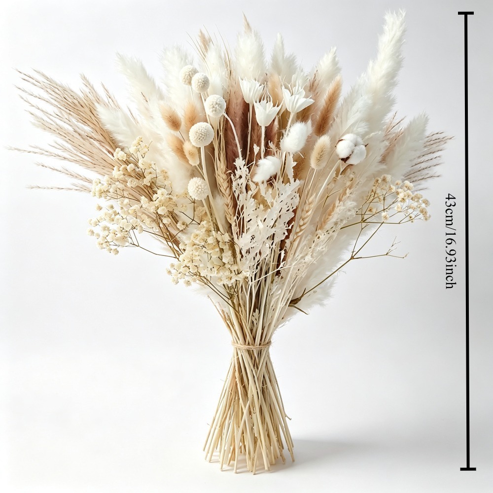 자연 건조 팜파스 그래스 부케, 리모니엄이 있는 건조  - Pampas Grass Decor 리뷰 및 가격