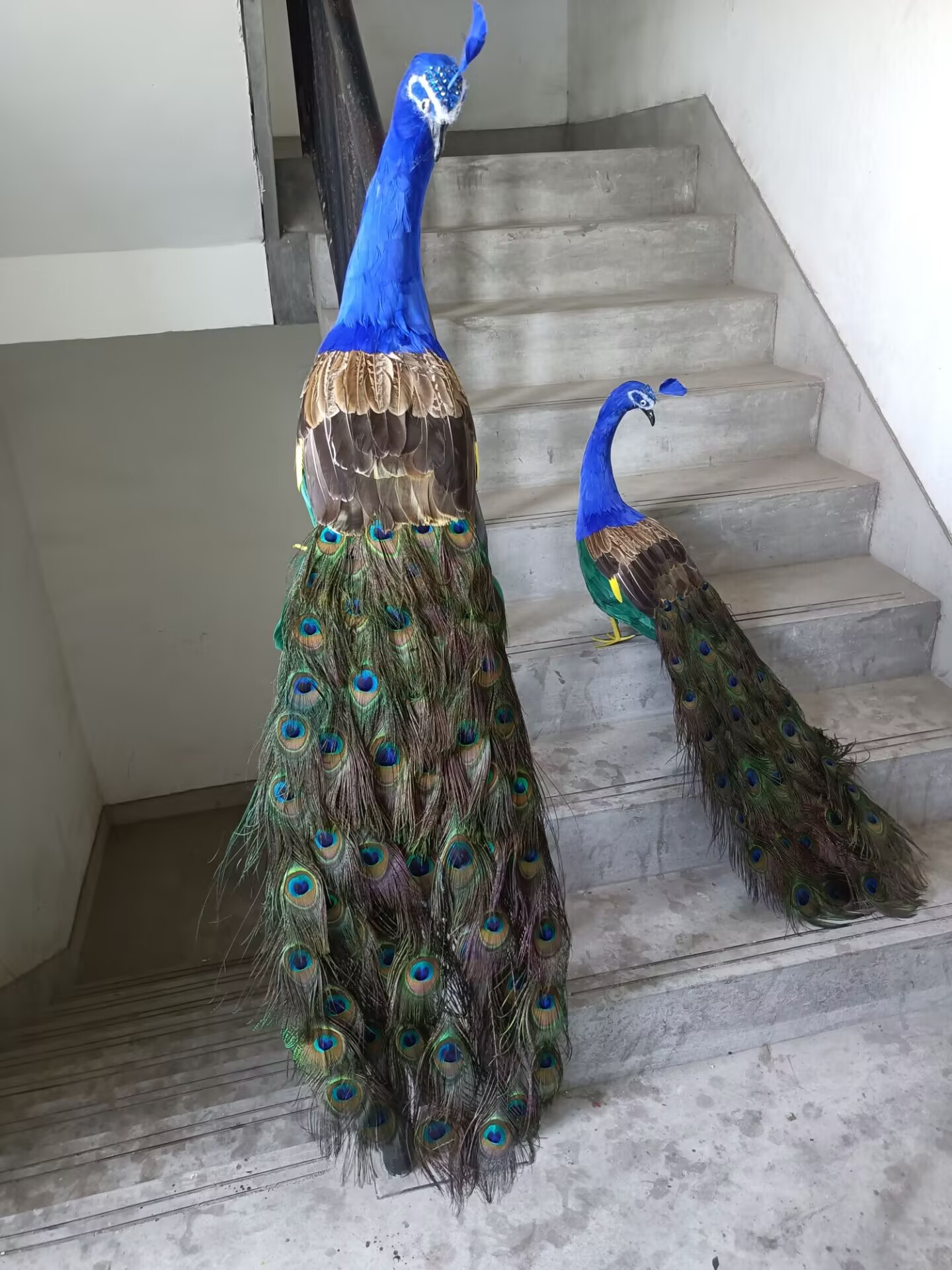105cm 실물 크기 공작새 모형 시뮬레이션 화려한 폼 - Home Decor Design Ideas 리뷰 및 가격
